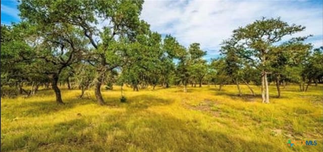 LOT3 Scott Branch Rd, Harper TX, 78631 land for sale