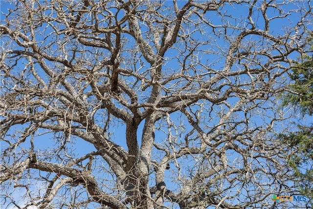 LOT11 Mule Creek Rd, Harwood, TX 78629