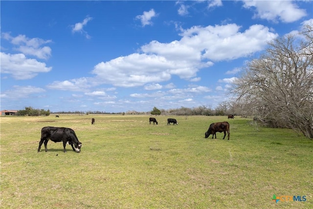 LOT11 Mule Creek Rd, Harwood, TX 78629