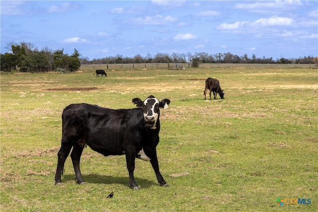LOT11 Mule Creek Rd, Harwood, TX 78629