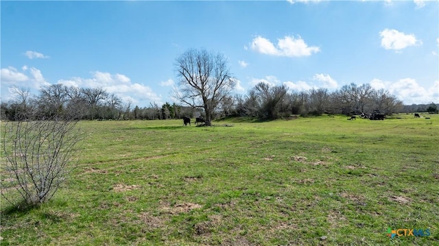 LOT11 Mule Creek Rd, Harwood, TX 78629