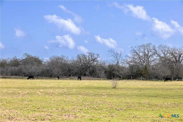 LOT11 Mule Creek Rd, Harwood, TX 78629