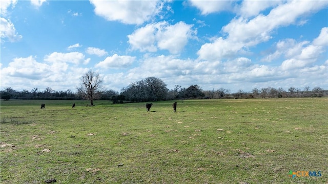 LOT11 Mule Creek Rd, Harwood, TX 78629