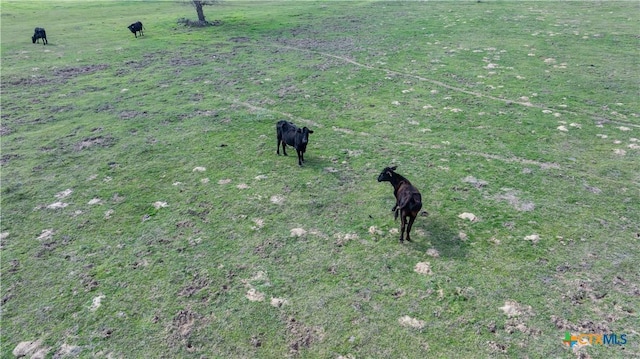 LOT11 Mule Creek Rd, Harwood, TX 78629