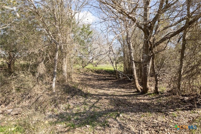 LOT11 Mule Creek Rd, Harwood, TX 78629