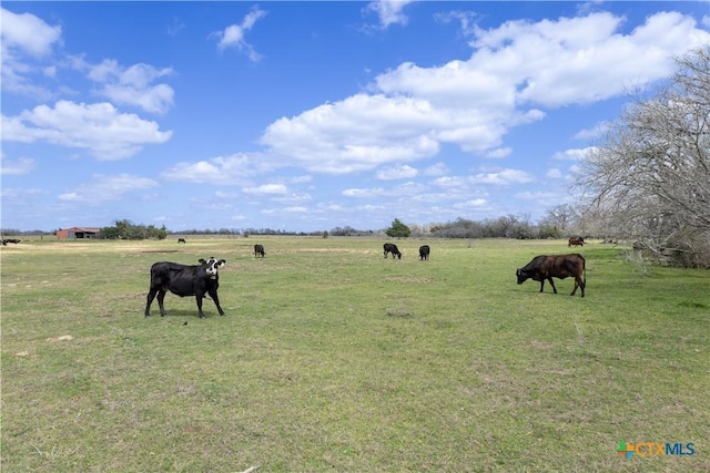 LOT11 Mule Creek Rd, Harwood, TX 78629