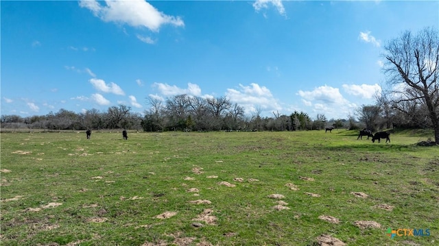 LOT11 Mule Creek Rd, Harwood, TX 78629