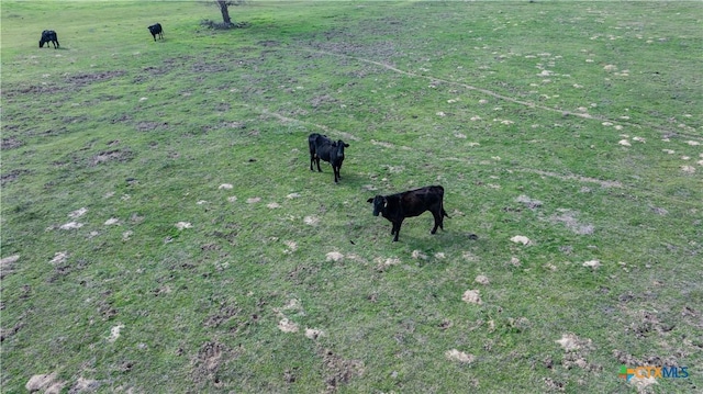 LOT11 Mule Creek Rd, Harwood, TX 78629