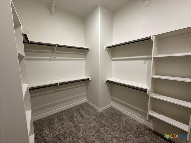 walk in closet with dark carpet