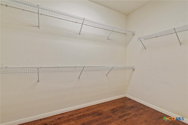 spacious closet featuring wood-type flooring