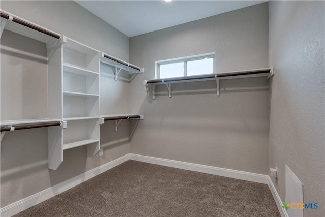109 Wild Persimmon Trl, Marion, TX 78124 - walk in closet featuring carpet floors