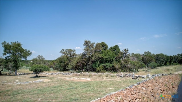 791 Haven Point Loop, New Braunfels, TX 78132 - photo 1