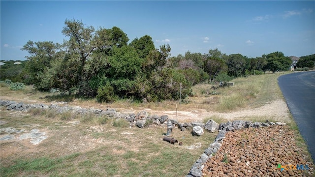 791 Haven Point Loop, New Braunfels, TX 78132 - photo 2