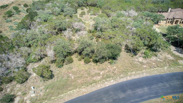 791 Haven Point Loop, New Braunfels, TX 78132 - photo 7