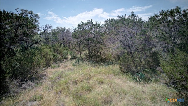 791 Haven Point Loop, New Braunfels, TX 78132 - photo 9