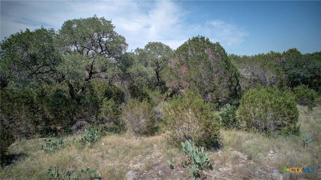 791 Haven Point Loop, New Braunfels, TX 78132 - photo 8