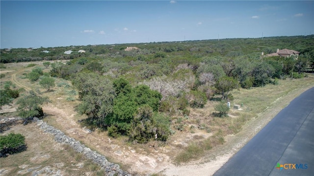 791 Haven Point Loop, New Braunfels, TX 78132 - photo 6