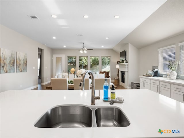 kitchen with white cabinetry, wood-type flooring, sink, and a wealth of natural light