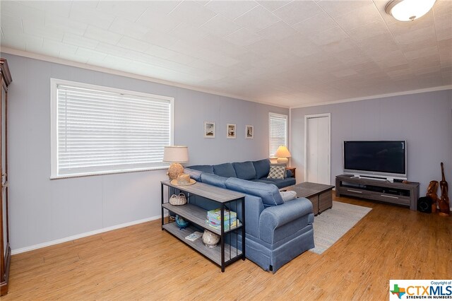 living area with wood finished floors, baseboards, and ornamental molding