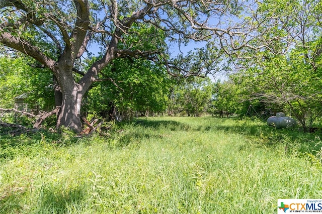 view of local wilderness