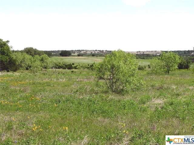 view of nature with a rural view