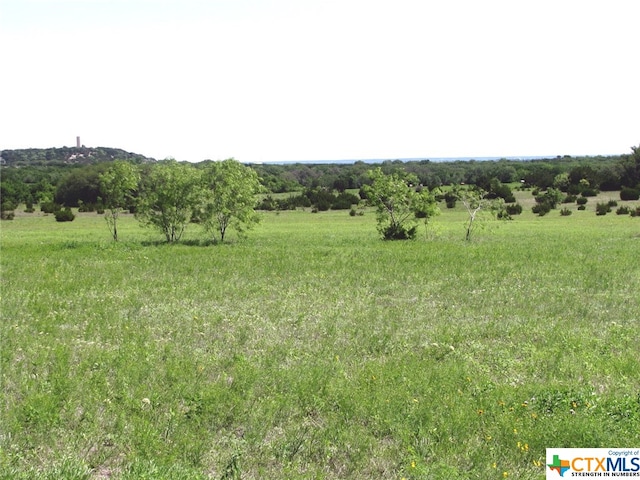 view of local wilderness featuring a rural view