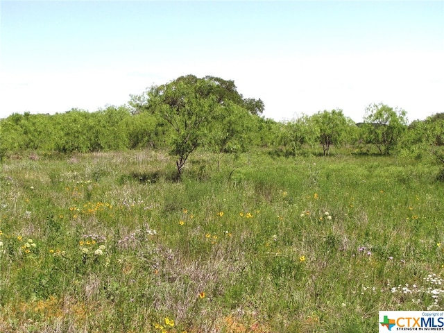 6630 Fm 183, Evant, TX 76525 - photo 36