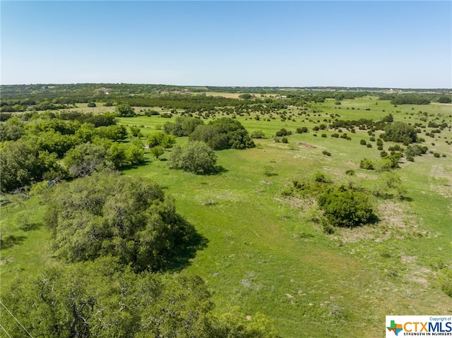 bird's eye view with a rural view