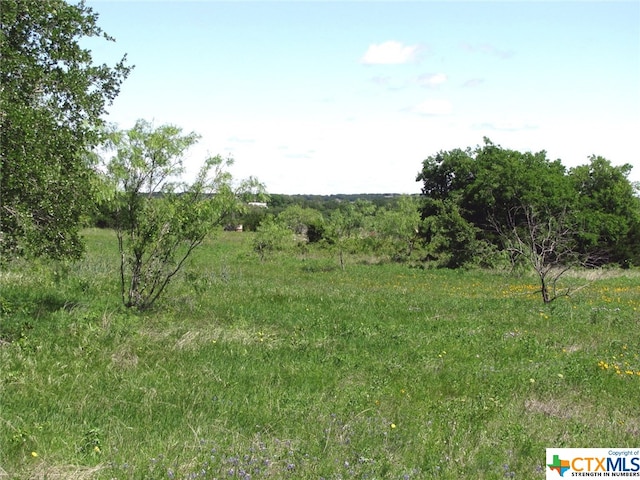 view of nature featuring a rural view