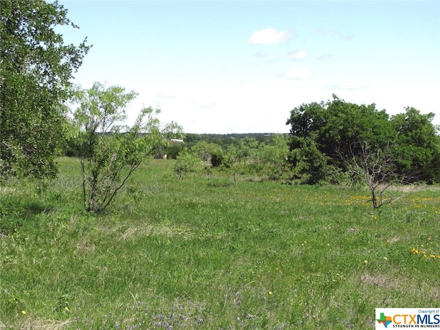 6630 Fm 183, Evant, TX 76525 - photo 32