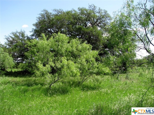 6630 Fm 183, Evant, TX 76525 - photo 31