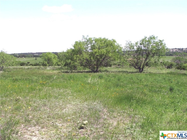 view of landscape featuring a rural view