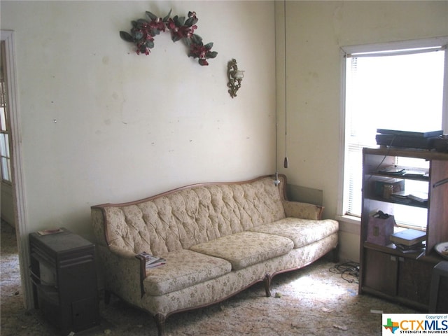 living room featuring carpet floors