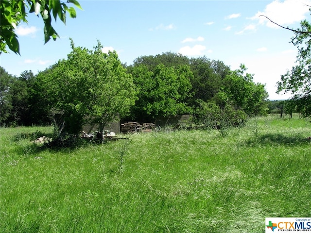 view of landscape featuring a rural view