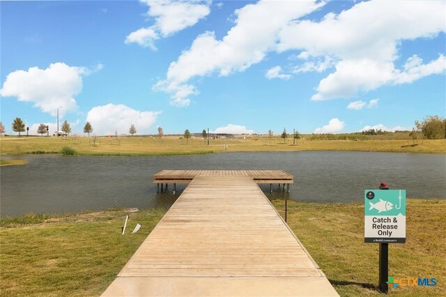 196 Lavender Ln, Elgin, TX 78621 - photo 30