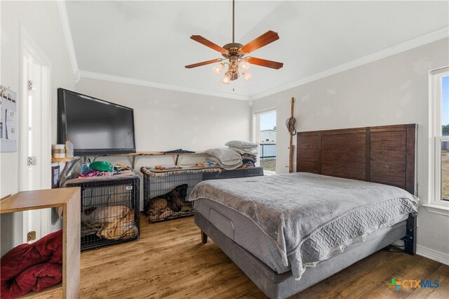 bedroom with hardwood / wood-style flooring, ceiling fan, and crown molding