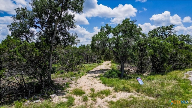 117 United St, Fischer, TX 78623 - photo 6