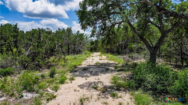117 United St, Fischer, TX 78623 - photo 7