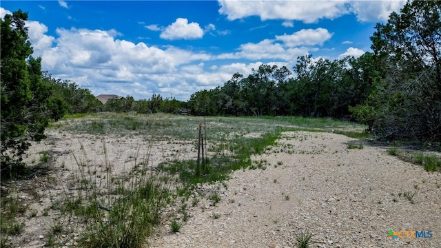 117 United St, Fischer, TX 78623 - photo 8