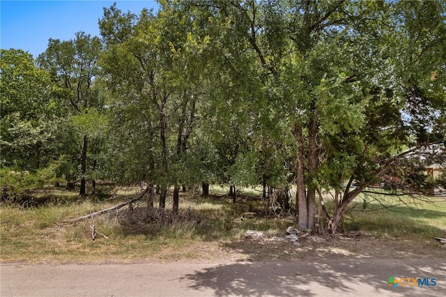 49 Buttercup Loop, Belton, TX 76513