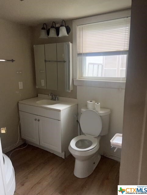 bathroom with vanity, toilet, and wood finished floors