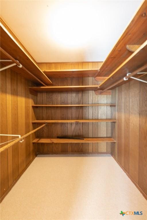 walk in closet with carpet