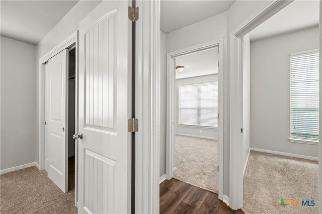 8113 Iron Gate Dr, Temple, TX 76502 - corridor with plenty of natural light, dark carpet, and dark wood-type flooring