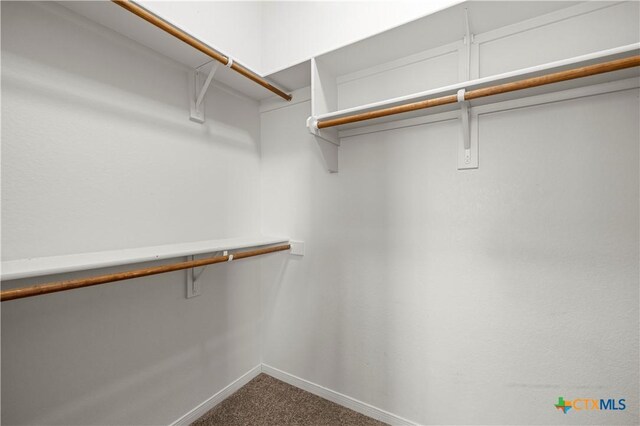 8113 Iron Gate Dr, Temple, TX 76502 - walk in closet featuring carpet floors