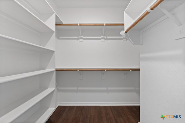 spacious closet featuring dark hardwood / wood-style flooring