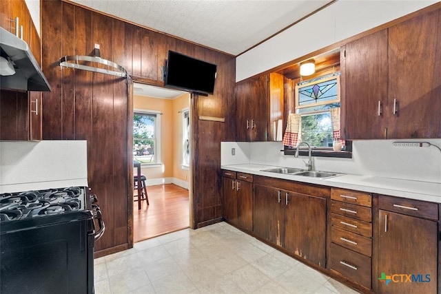 215 Taylor Rd, Elgin, TX 78621 - kitchen with a sink, under cabinet range hood, black range with gas cooktop, and wooden walls