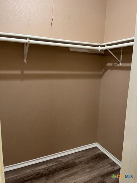 spacious closet featuring dark hardwood / wood-style flooring