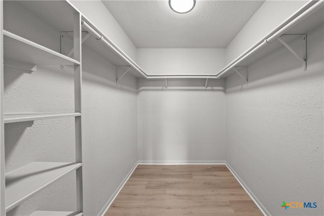 walk in closet with hardwood / wood-style floors