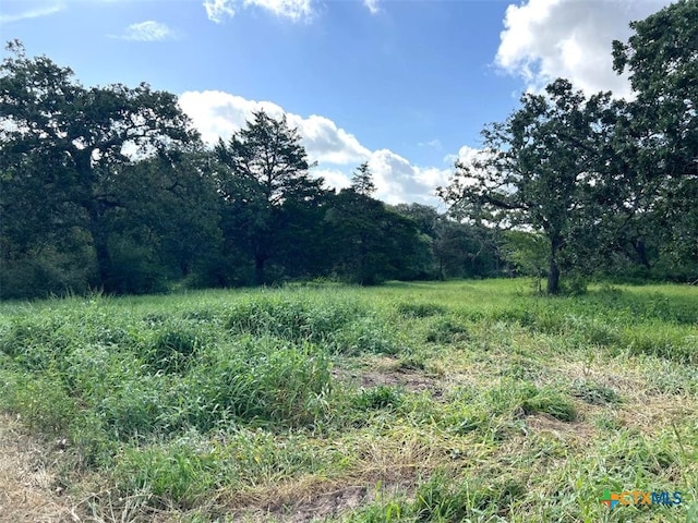 11469 Fm 822, Edna, TX 77957 - photo 18