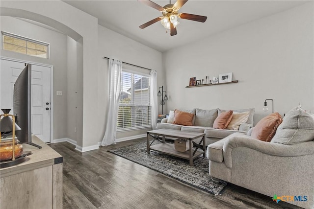 living room featuring ceiling fan and dark hardwood / wood-style flooring